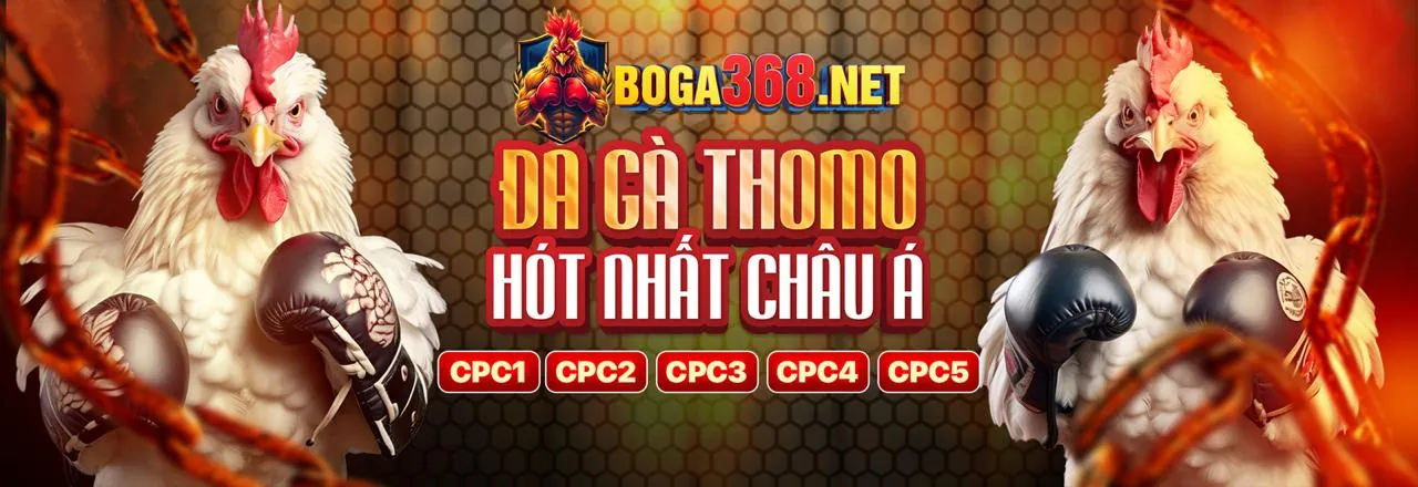 Các loại hình xổ số đa dạng tại shbet50