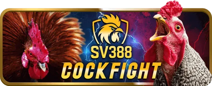 Hỗ trợ chat trực tuyến SHBET50